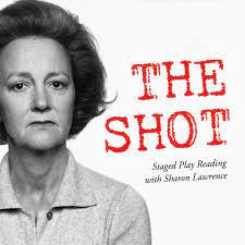 the shot poster